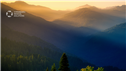 Banner Picture