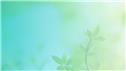 Banner Picture