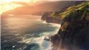 Banner Picture