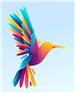 bird-thumbnail-1729257537840.jpg