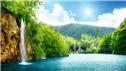 Banner Picture