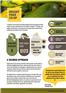 Bright-Food-Coop-Impact-Card-1748828377269.jpg