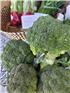 MFHbroccoli-1747633896140.jpg