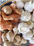 MFHgarlic-1747634079991.jpg