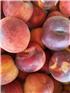 MFHnectarines-1747634247464.jpg
