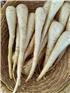 MFHparsnips-1747634300100.jpg