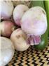 MFHturnip-1747634466627.jpg