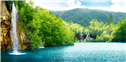 Banner Picture