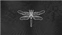 Banner Picture