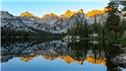 Banner Picture