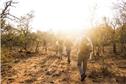 online-field-guiding-course-1724959583374.jpg
