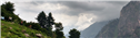 Banner Picture