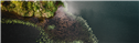 Banner Picture