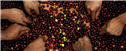 Banner Picture