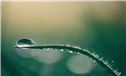 Banner Picture
