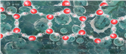 Banner Picture