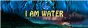 Banner Picture