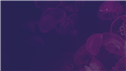 Group Banner Picture