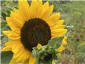 IMG_6792-1740168865682.jpeg