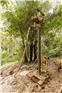 water-well-waternow_hunikuin-1743631250180.jpg