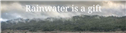 Banner Picture