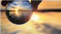 Banner Picture