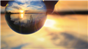 Banner Picture