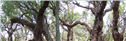 Banner Picture