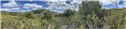 Banner Picture