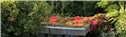 Banner Picture