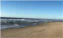 Banner Picture