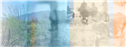Banner Picture