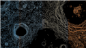 Group Banner Picture