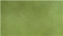 Banner Picture