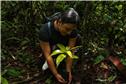 Reforestation-2.jpeg