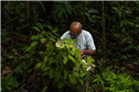 Reforestation-3.jpeg