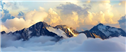Banner Picture
