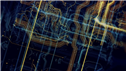 Banner Picture