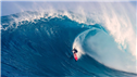 Banner Picture