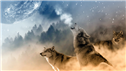 Group Banner Picture