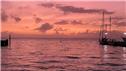 Banner Picture