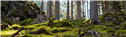 bg-5-1727259343832.png