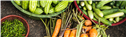OFC-Avatars-Banners_Banner-3-1688696701836.png