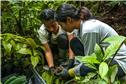 reforestation-first-image-17-1726298233060.jpeg