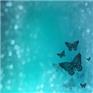 SampleButterfly-1715311195315.jpg