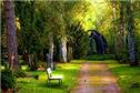 SampleNature-1715246642019-1728369868942.jpg