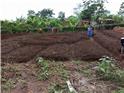 YICE-Garden-1732501005614.jpeg