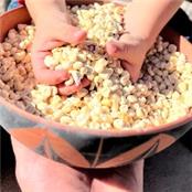 Bryn Fragua - GAMBASSA