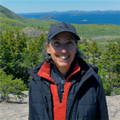 Dale Weber - GAMBASSA