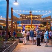 So Cal  Collective Wellbeing - GAMBASSA